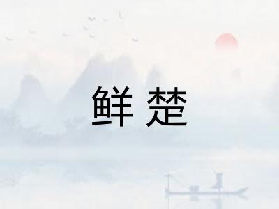 鲜楚