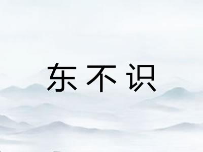 东不识