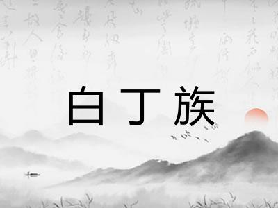 白丁族