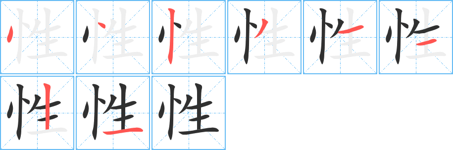 性的笔顺分步演示图