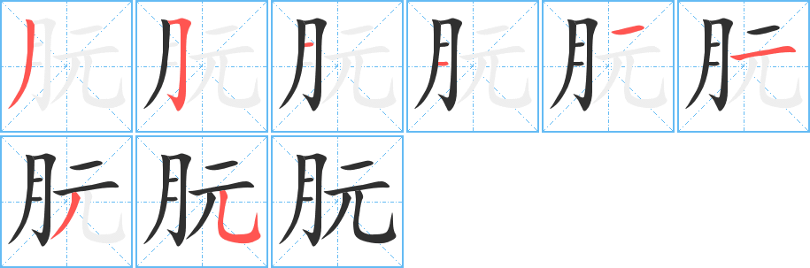 朊的笔顺分步演示图