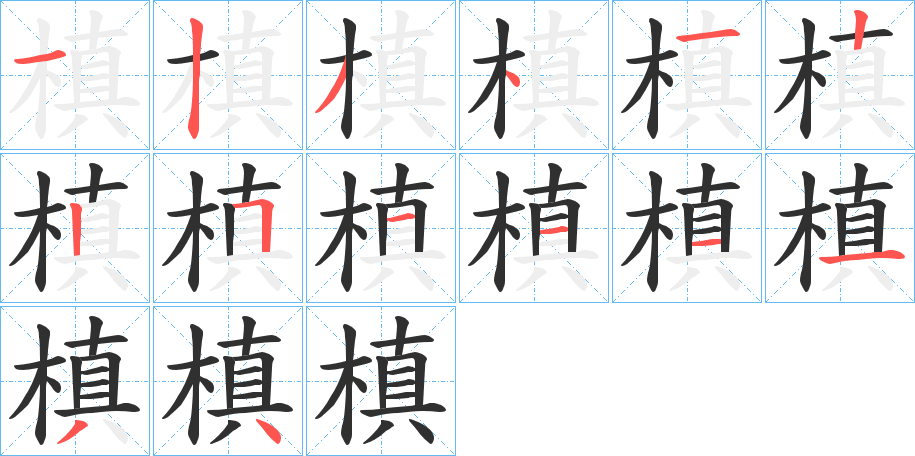 槙的笔顺分步演示图