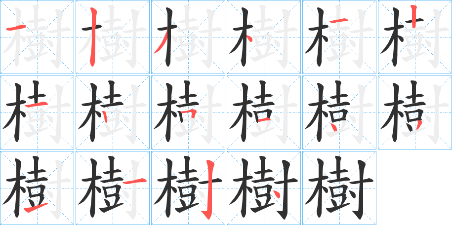 樹的笔顺分步演示图