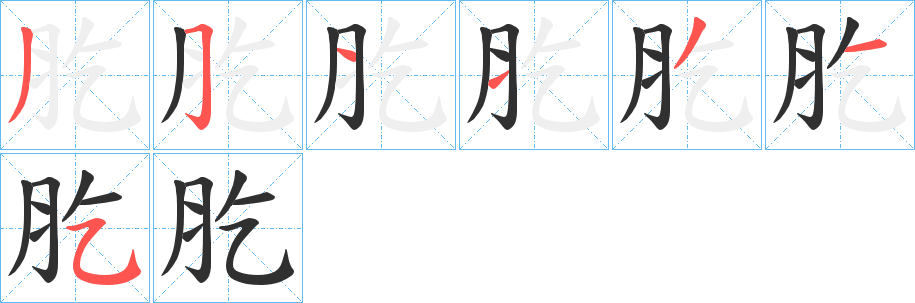 肐的笔顺分步演示图