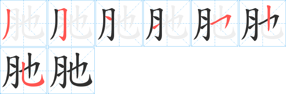 肔的笔顺分步演示图