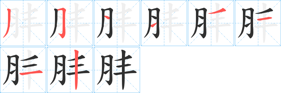 肨的笔顺分步演示图