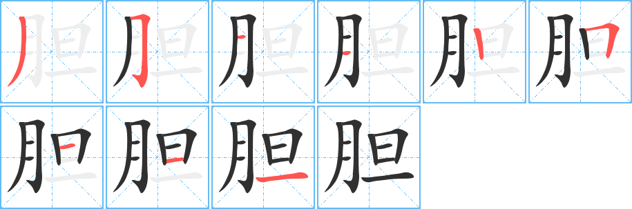 胆的笔顺分步演示图