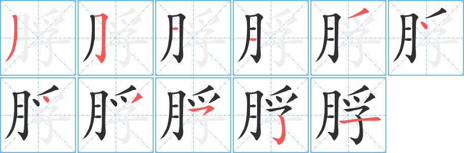 脬的笔顺分步演示图