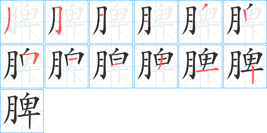 脾的笔顺分步演示图