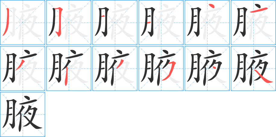 腋的笔顺分步演示图