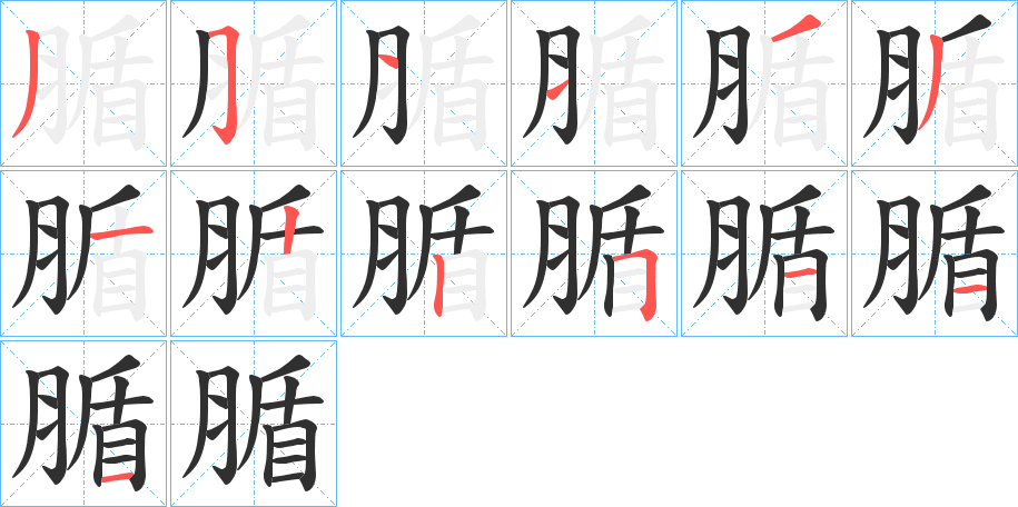 腯的笔顺分步演示图