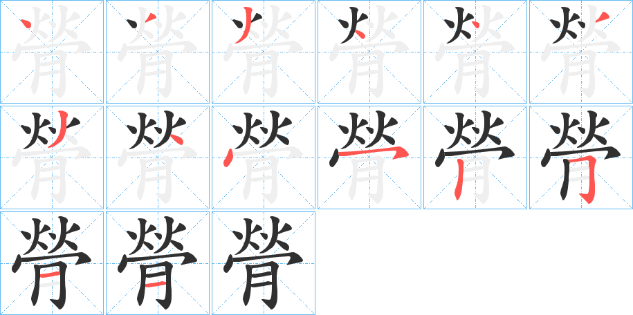 膋的笔顺分步演示图