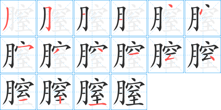 膣的笔顺分步演示图