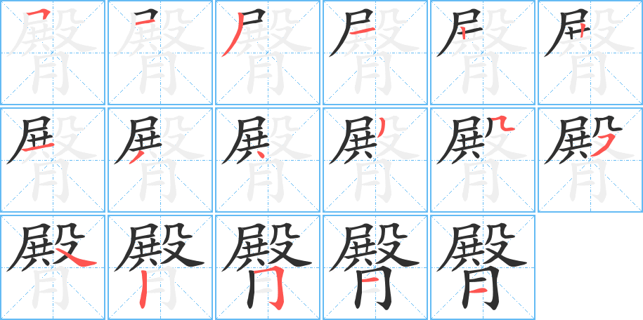 臀的笔顺分步演示图