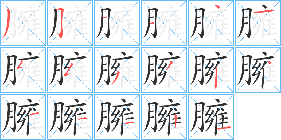 臃的笔顺分步演示图