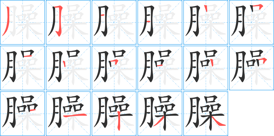 臊的笔顺分步演示图