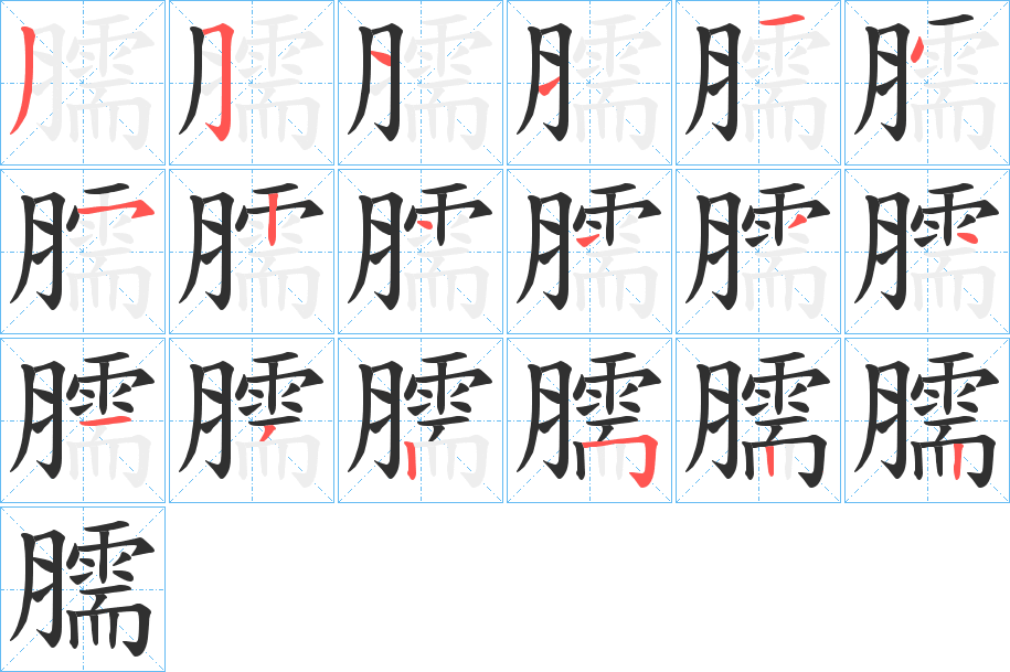 臑的笔顺分步演示图