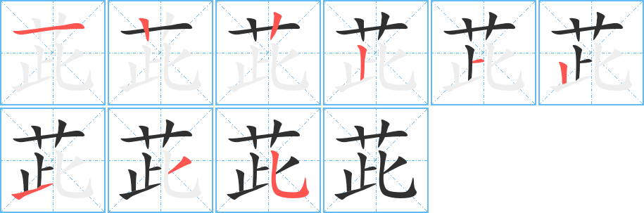 茈的笔顺分步演示图