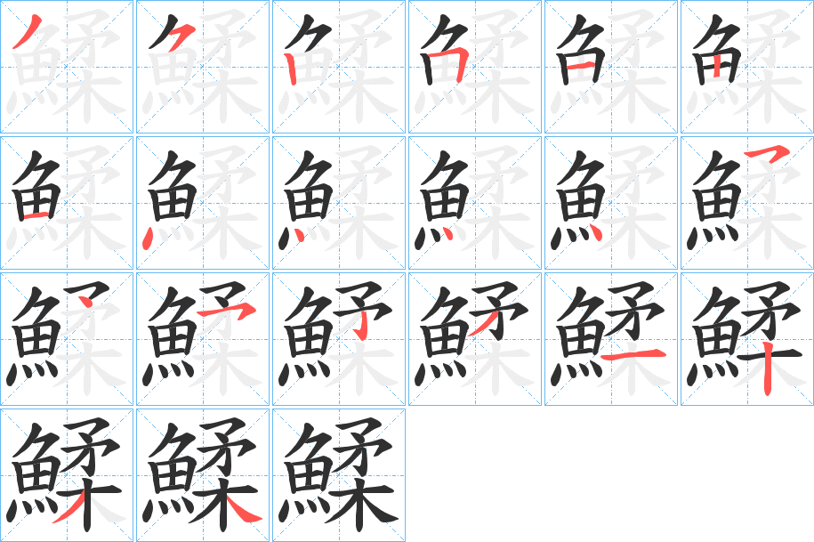 鰇的笔顺分步演示图