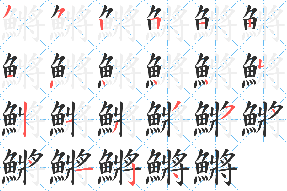 鱂的笔顺分步演示图