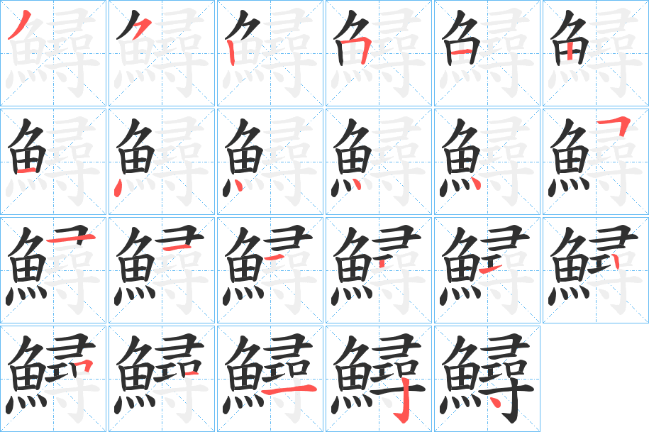 鱘的笔顺分步演示图