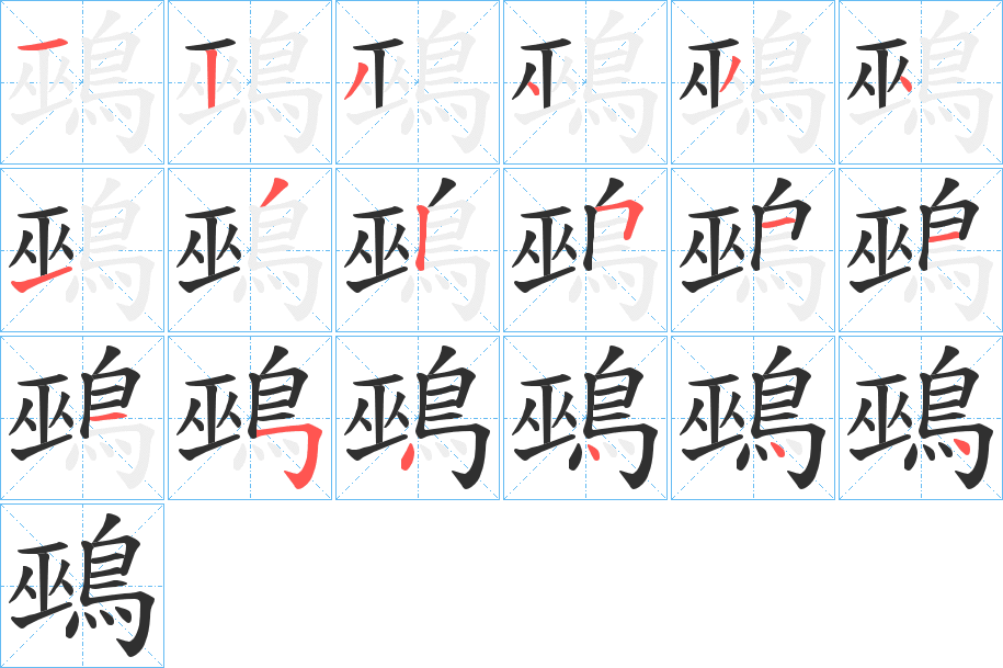 鵐的笔顺分步演示图