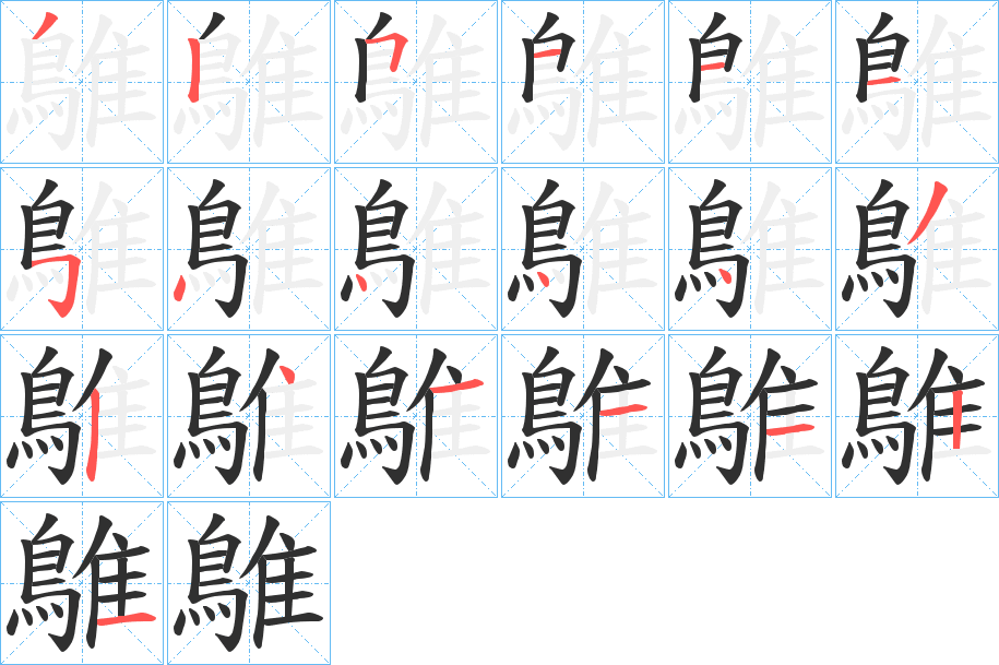 鵻的笔顺分步演示图