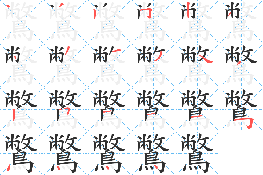 鷩的笔顺分步演示图