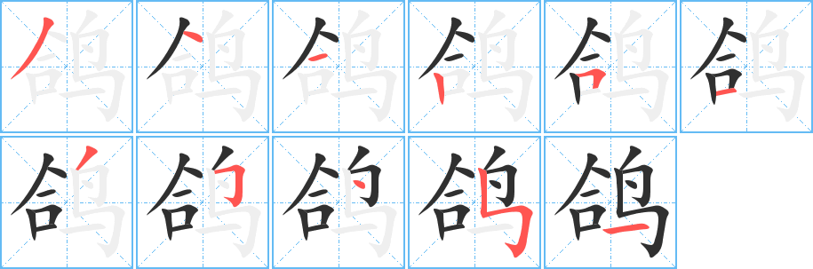 鸽的笔顺分步演示图