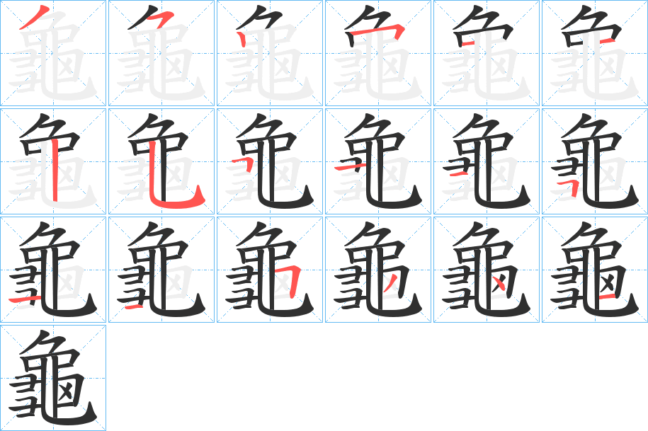 龜的笔顺分步演示图